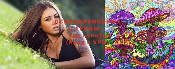 таблы Богородицк