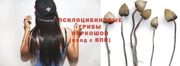 таблы Богородицк