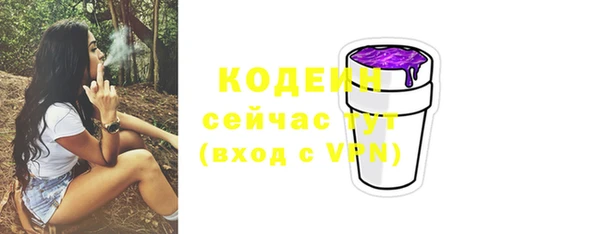 таблы Богородицк
