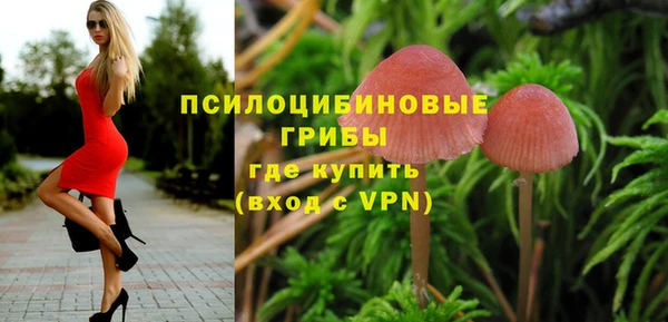 таблы Богородицк