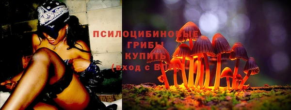 таблы Богородицк