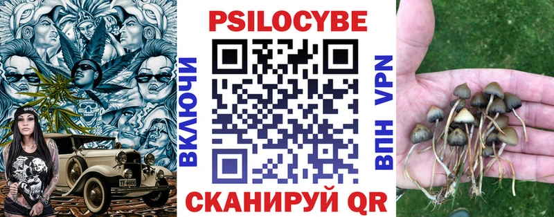 Галлюциногенные грибы MAGIC MUSHROOMS  ОМГ ОМГ маркетплейс  Светогорск 