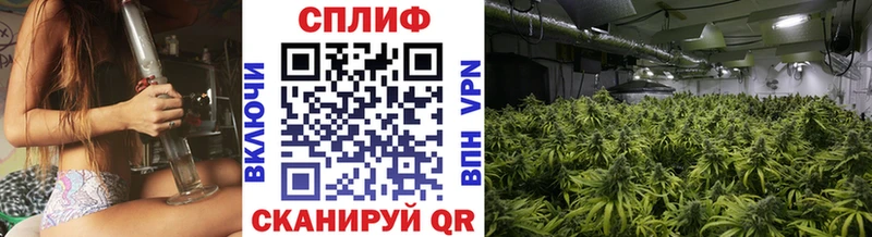 наркота  Светогорск  Марихуана Amnesia 